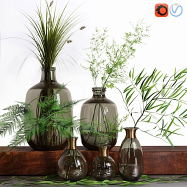Indoor Grass Herb Plant Glass Vases 3D model image 1 