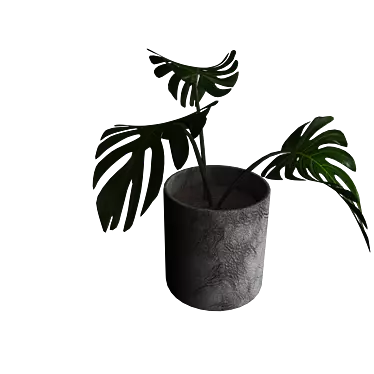 Monstera 3D Models | High Quality & Versatile 3D model image 1 