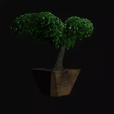 Miniature Bonsai Tree in Pot 3D model image 1 