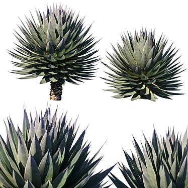 Agave Blue Glow: Stunning 2013 Design 3D model image 1 