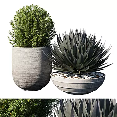 Exquisite Pot Plant Set 3D model image 1 