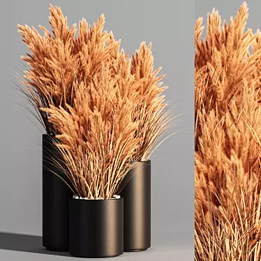 Pampas Indoor Plant Set 3D model image 1 