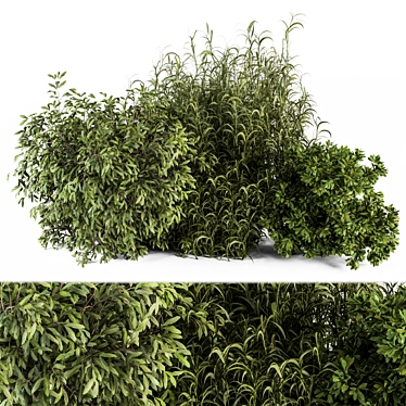 Vibrant Plant Mix - Set 37 3D model image 1 