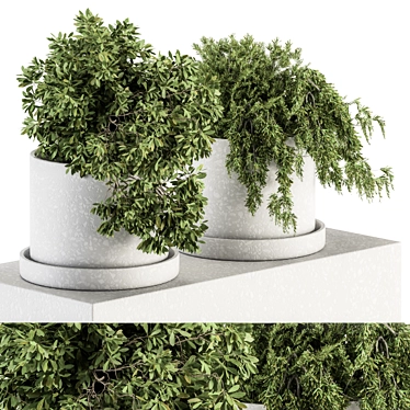 Green Oasis: Small Indoor Plant Set 3D model image 1 
