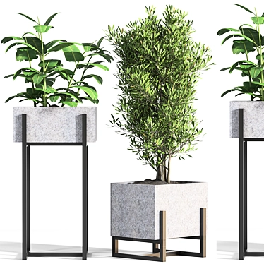 Nature's Oasis: Indoor Plant Set 3D model image 1 