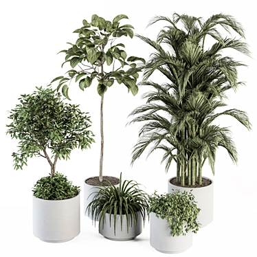 Green Oasis: Indoor Plant Set 3D model image 1 