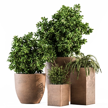 Natural Greenery: Outdoor Plant Set 3D model image 1 