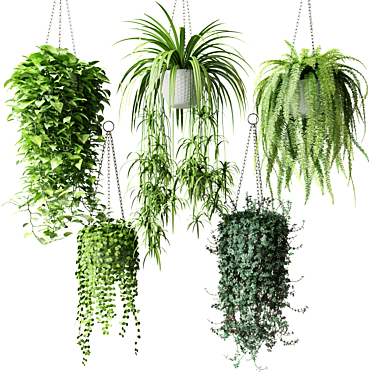 Title: White Wicker Hanging Plants 3D model image 1 