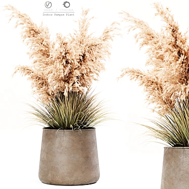 Elegant Indoor Pampas Plant 3D model image 1 