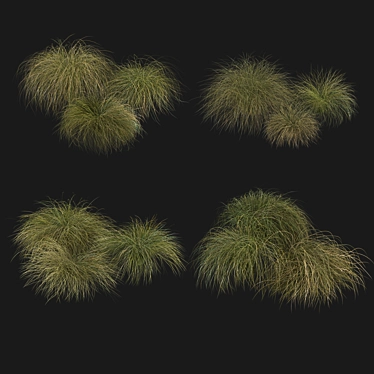 Sleek HairSedge Model - 3Ds Max 3D model image 1 