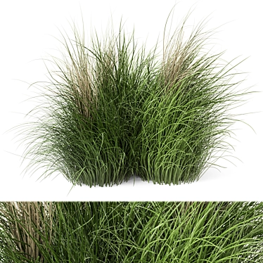 Natural Outdoor Bush Set 3D model image 1 