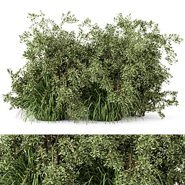 Lush Outdoor Bush Set - 219 Varieties 3D model image 1 