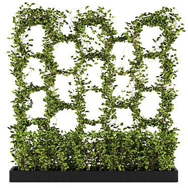 Lush and Voluminous Ivy Set 3D model image 1 