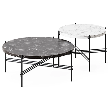 Elegant TS Marble Coffee Table 3D model image 1 