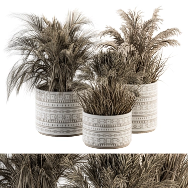 Botanical Bliss: Dried Plant Set 3D model image 1 