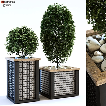 Greenery Oasis Box Set 113 3D model image 1 