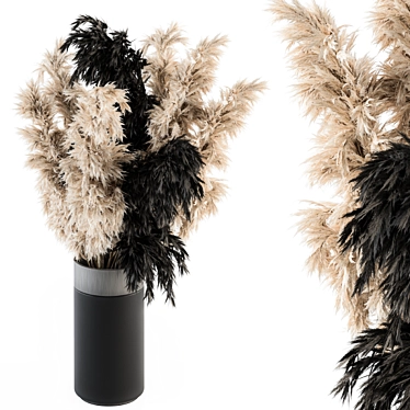 Elegant Pampas: Black Cream Beauty 3D model image 1 