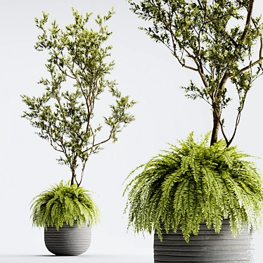 Organika Plant Pack: Myrciaria & Nephrolepis 3D model image 1 