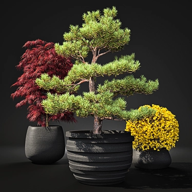 Outdoor Plant Pot Set: Red Dragon Maple, Forsythia & Pine Topiaries 3D model image 1 