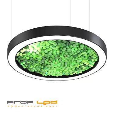 Halo Moss Pendant Light 3D model image 1 