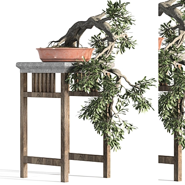 Blossom Bonsai: Miniature Natural Beauty 3D model image 1 