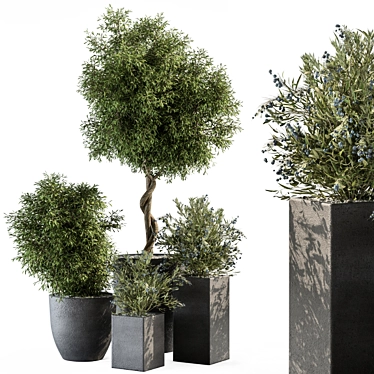 Concrete Pot Outdoor Plant Set 3D model image 1 