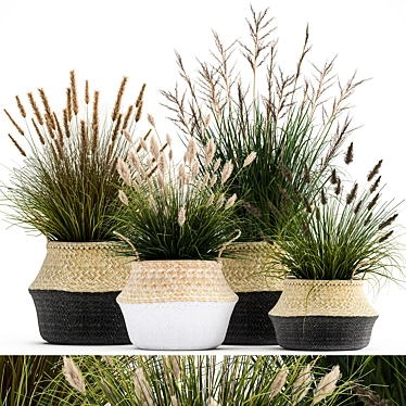 Tropical Plant Collection: Decorative Rattan Baskets & Exotic Indoor Plants 3D model image 1 