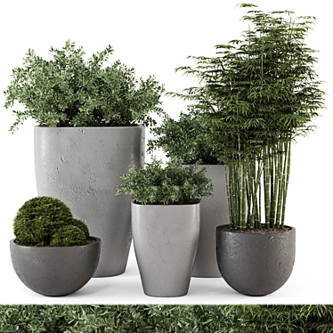 Rusty Concrete Pot Outdoor Bush Set 3D model image 1 