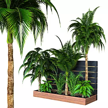 Outdoor Plant Collection 2015 3D model image 1 