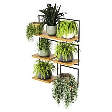 Rustic Indoor Plants Set 3D model image 1 