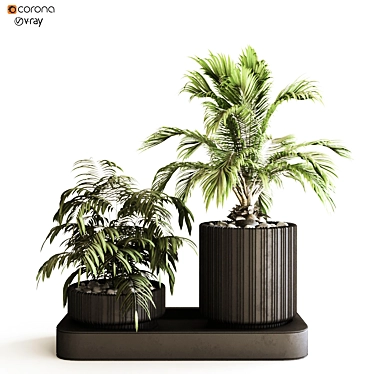 Lush & Green Plant Box Set 3D model image 1 