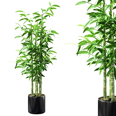 Green Oasis: Lush 3D Plant Collection 3D model image 1 