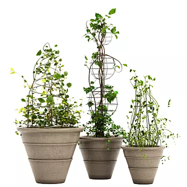 Versatile Ivy Plant Stand Set 3D model image 1 