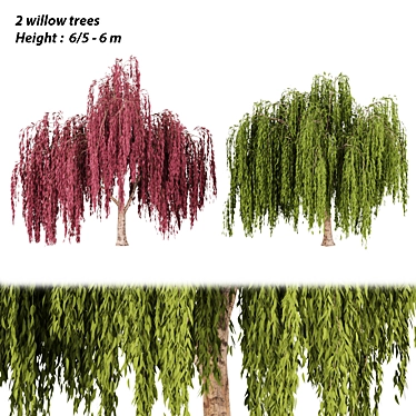 Willow Trees Collection, Vol. 23: Stunning and Lifelike 3D model image 1 
