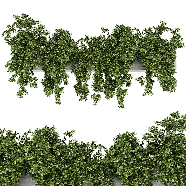 Rustic Hanging Planters - Set 241 3D model image 1 