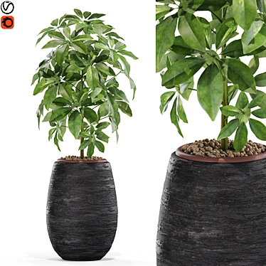 567 Plant Collection: Stunning and Versatile Greenery 3D model image 1 