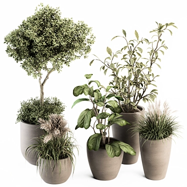 Green Oasis: Indoor Plant Set 3D model image 1 