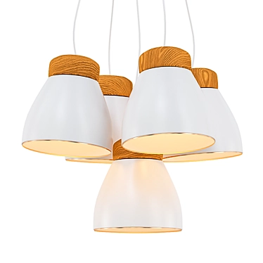 Albert Cluster Pendant Lamp 3D model image 1 