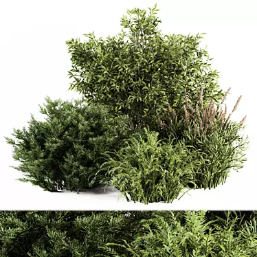 Lush Mix: Bush Set 37 3D model image 1 