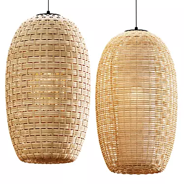 Natural Rattan Pendant Lights 3D model image 1 