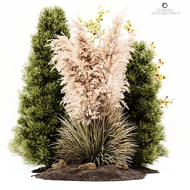 Outdoor Pampas Plant: High-Quality 3D Model 3D model image 1 