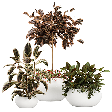 Botanical Bliss: Rubber Plant Vase Pack 3D model image 1 