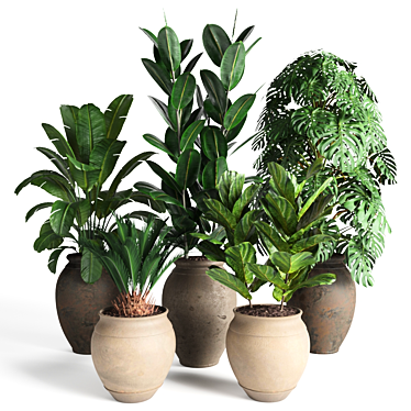 Tropical Plant Collection 3D model image 1 