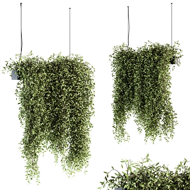 Tropical Oasis: Indoor Hanging Plant Set 3D model image 1 