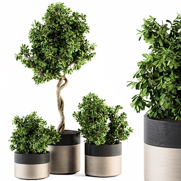  Modern Pot Plant Set - Outdoor 272 3D model image 1 