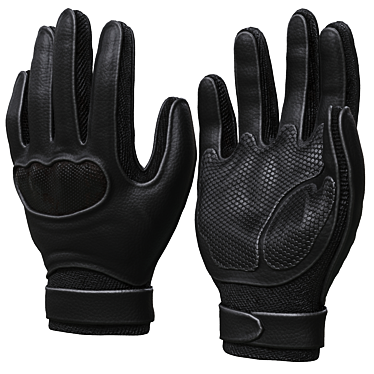 Versatile 2013 Glove: Stylish and Functional 3D model image 1 