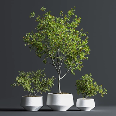 Indoor Oasis Plant Set 3D model image 1 