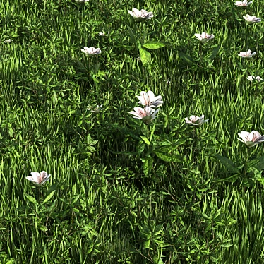 Versatile Grass Collection: 4 Types 3D model image 1 
