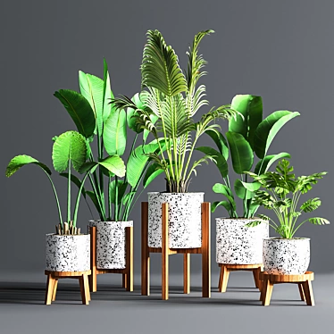 Green Oasis Indoor Plant Set 3D model image 1 