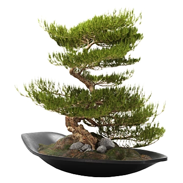 118CM BONSAI06: Authentic Zen Tree 3D model image 1 